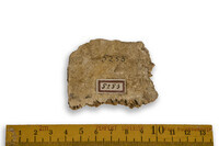 F 05253
<br/>
<br/>
<em></em>